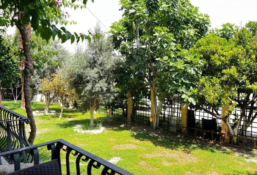 اتاق استاندارد, Han Boutique