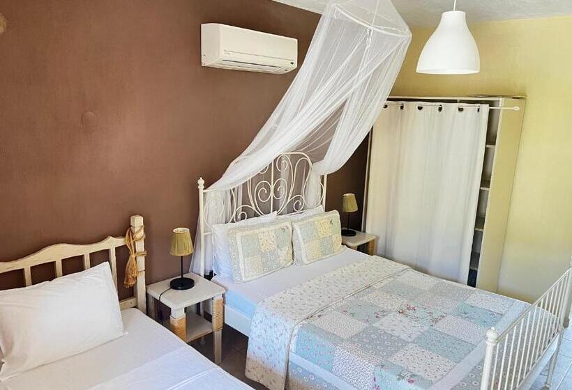 اتاق استاندارد, Han Boutique