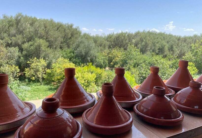 غرفة ديلوكس, Gite Boukhalfa