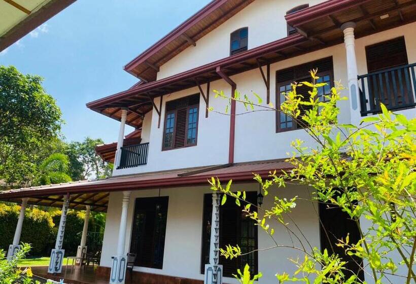 اتاق استاندارد, White Villa