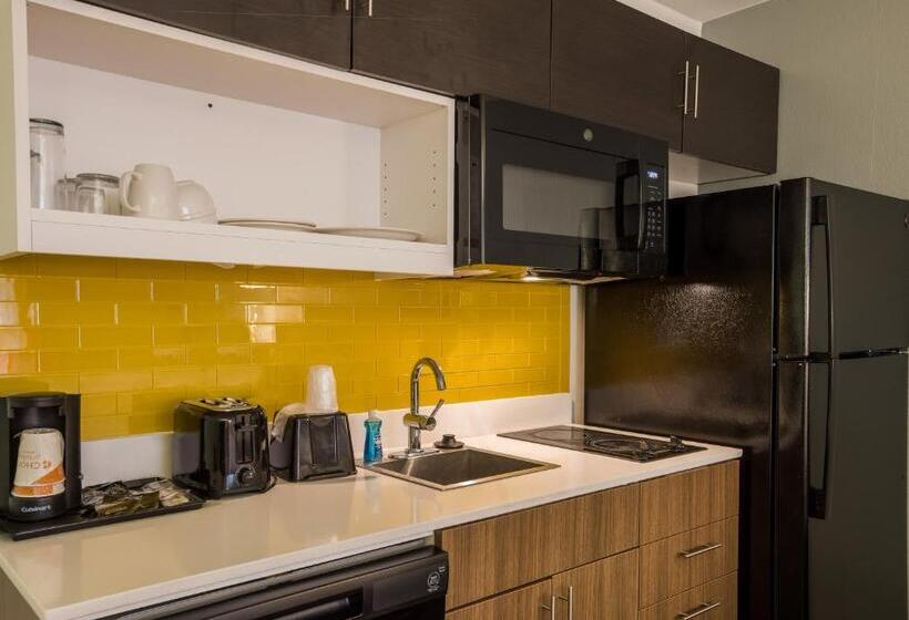 اتاق استاندارد با تخت دو نفره بزرگ برای معلولان, Mainstay Suites Savannah Midtown