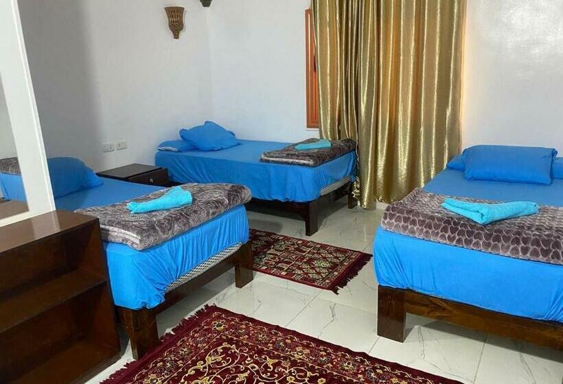 اتاق استاندارد سه نفره, Nile View Guest House
