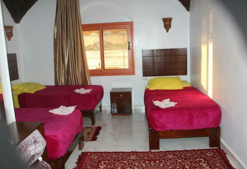 اتاق استاندارد سه نفره, Nile View Guest House