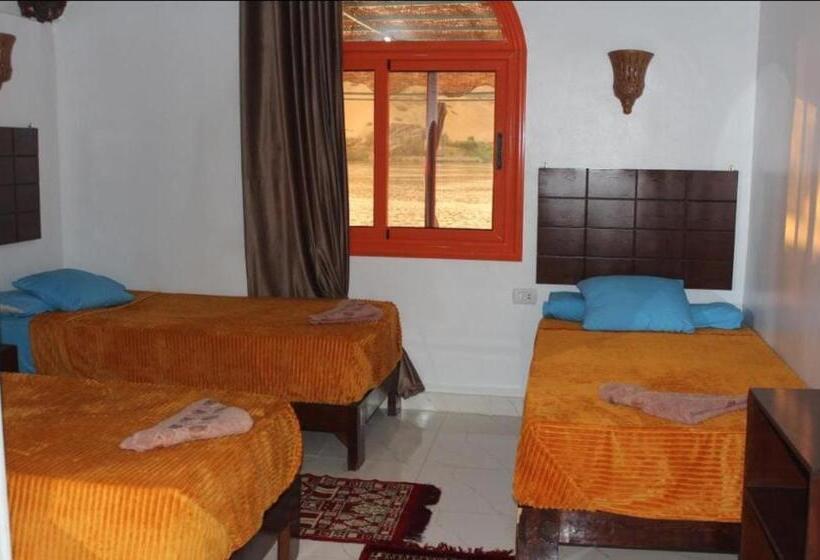 Triple Room Sea View, Nile View Guest House