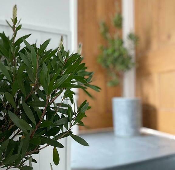 اتاق استاندارد با چشم‌انداز دریا, Môr Heli Guest House Criccieth