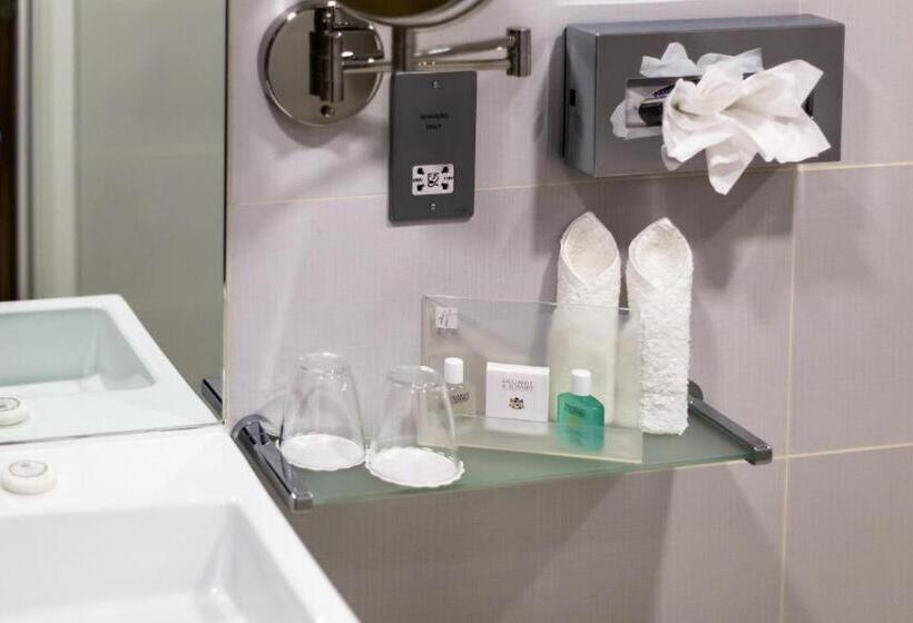 اتاق استاندارد, Holiday Inn London Watford Junction, An Ihg