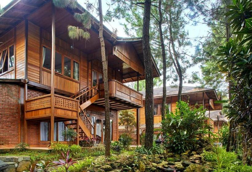 ویلای 4 خوابه, Jambuluwuk Convention Hall & Resort Puncak