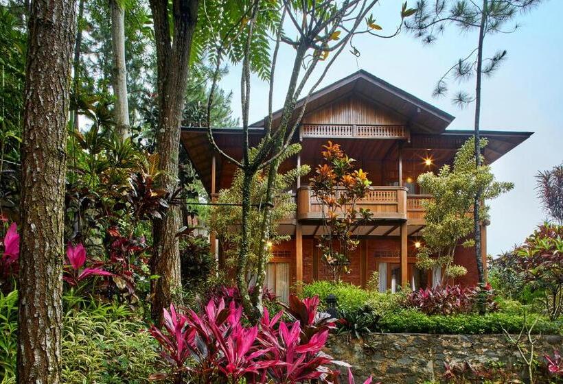 ویلا دلوکس 3 خوابه, Jambuluwuk Convention Hall & Resort Puncak
