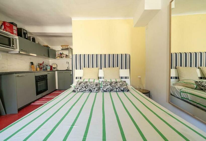 استودیوی استاندارد, Catherine Studios