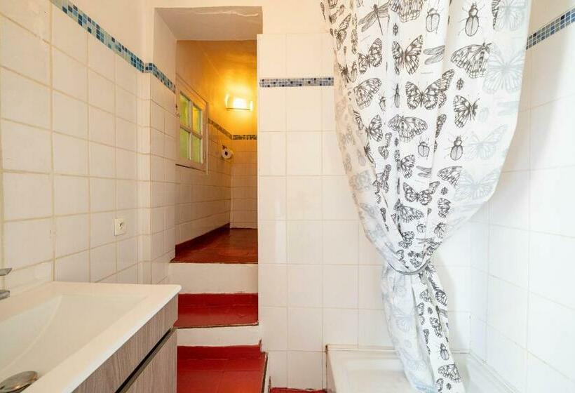 استودیوی استاندارد, Catherine Studios