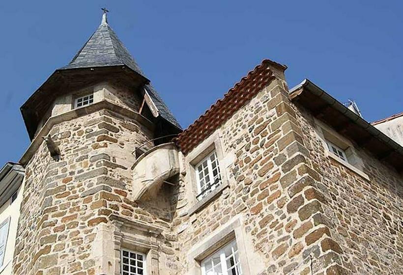 اتاق استاندارد یک نفره, Maison Au Loup   Superbe Ancien Hotel Particulier Du Xvie Siècle Au Cœur De La Vieille Ville Du Puy