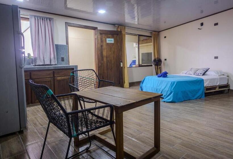 آپارتمان 1 خوابه, Argdivan Hostel