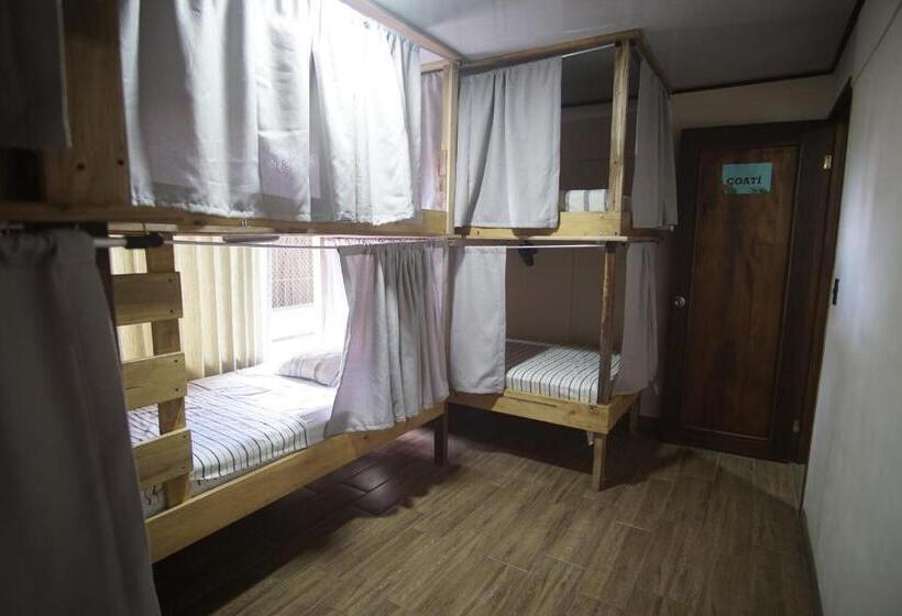 تختخواب در اتاق مشترک, Argdivan Hostel