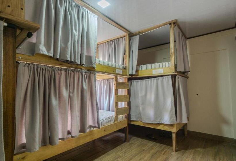 تختخواب در اتاق مشترک, Argdivan Hostel