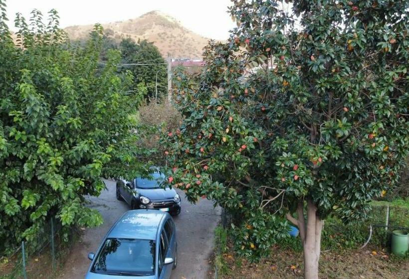 اتاق استاندارد با تراس, Mezzaluna Guest House