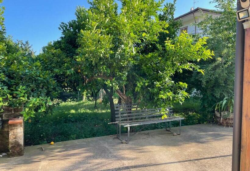 اتاق استاندارد با تخت بزرگ, Mezzaluna Guest House