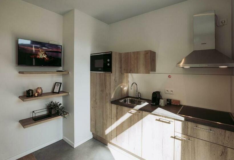 اتاق استاندارد با تراس, City Housing Genk