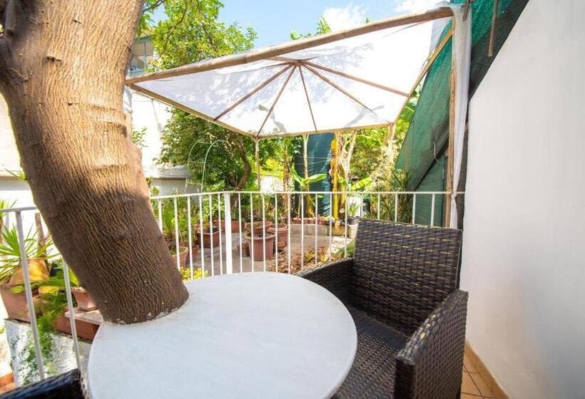 اتاق سوپریور با چشم‌انداز باغ, Maison Twentyfive