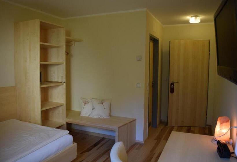 اتاق سوپریور یک تخته, Bio Hotel Bayerischer Wirt Augsburg