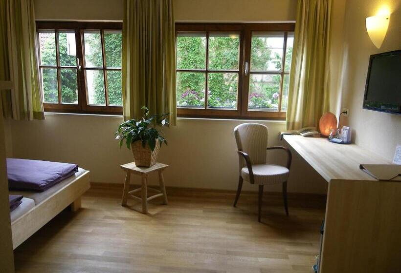 اتاق سوپریور, Bio Hotel Bayerischer Wirt Augsburg