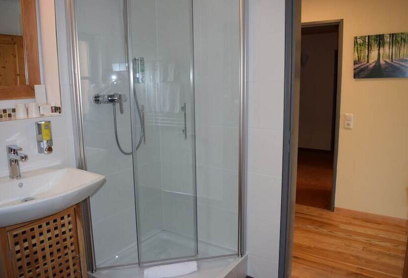اتاق سوپریور یک تخته, Bio Hotel Bayerischer Wirt Augsburg