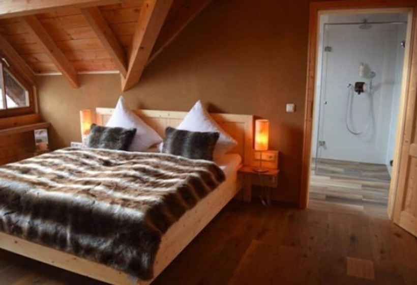اتاق سوپریور, Bio Hotel Bayerischer Wirt Augsburg