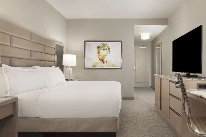 اتاق استاندارد با تخت بزرگ, Hilton Alexandria King S Ranch