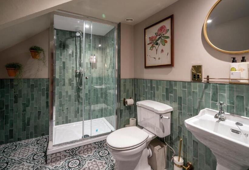 اتاق سوپریور با تخت بزرگ, The George Inn & Plaine