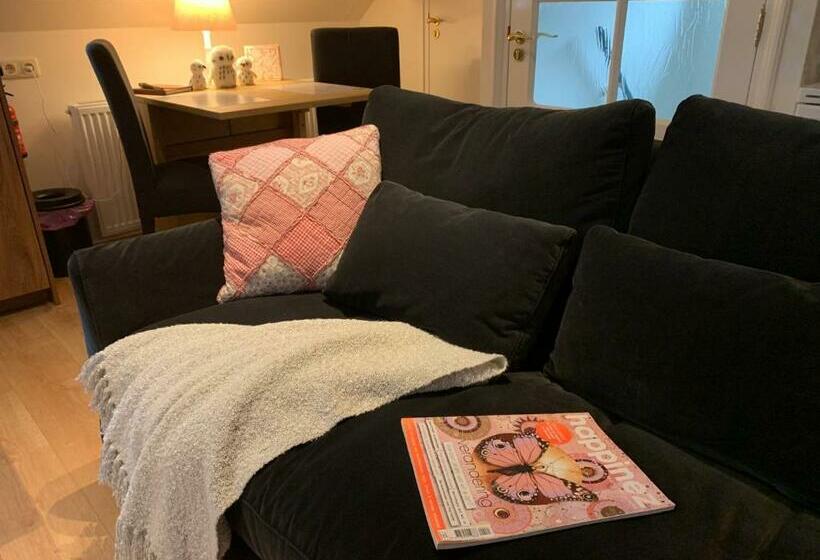 اتاق استاندارد, B&b De Drie Uiltjes