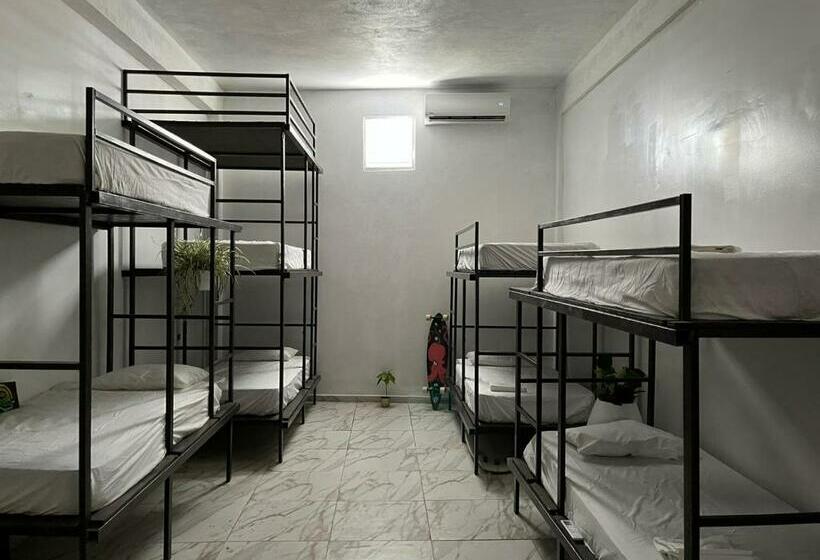تختخواب در اتاق مشترک, Rincon Dorms