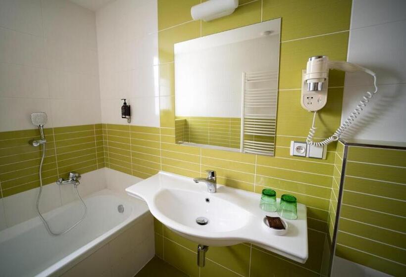 آپارتمان 1 خوابه, Garni Hotel Svitavy