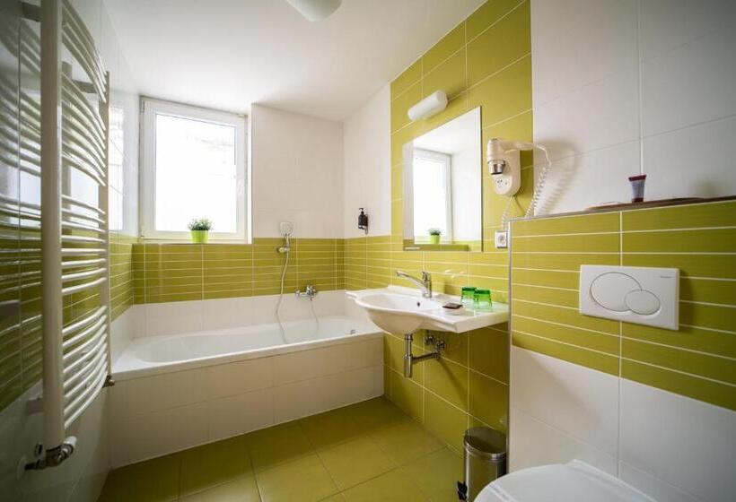 آپارتمان 1 خوابه, Garni Hotel Svitavy