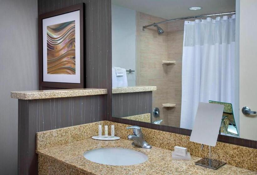 اتاق استاندارد با تخت بزرگ برای معلولان, Courtyard By Marriott Philadelphia Lansdale