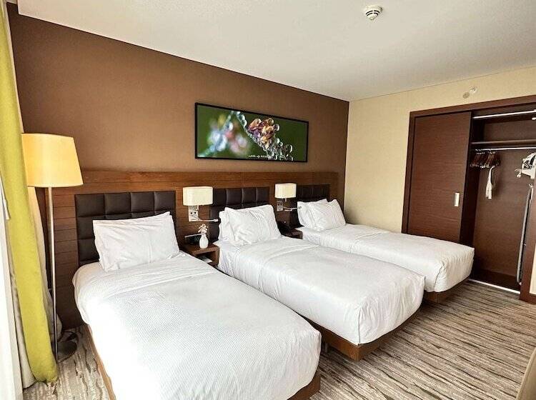 اتاق استاندارد سه نفره, Doubletree By Hilton Trabzon