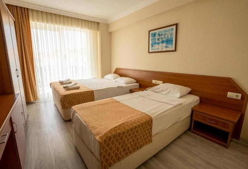 اتاق استاندارد, Ergin