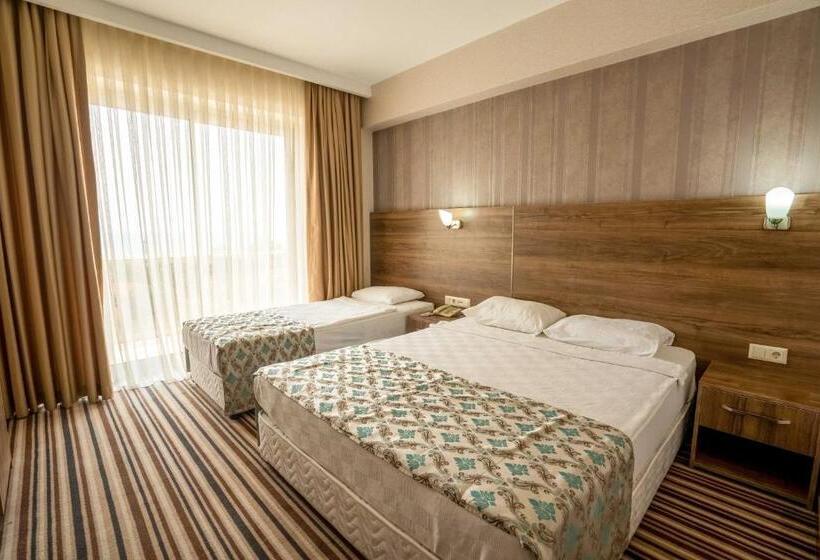 اتاق استاندارد, Ergin