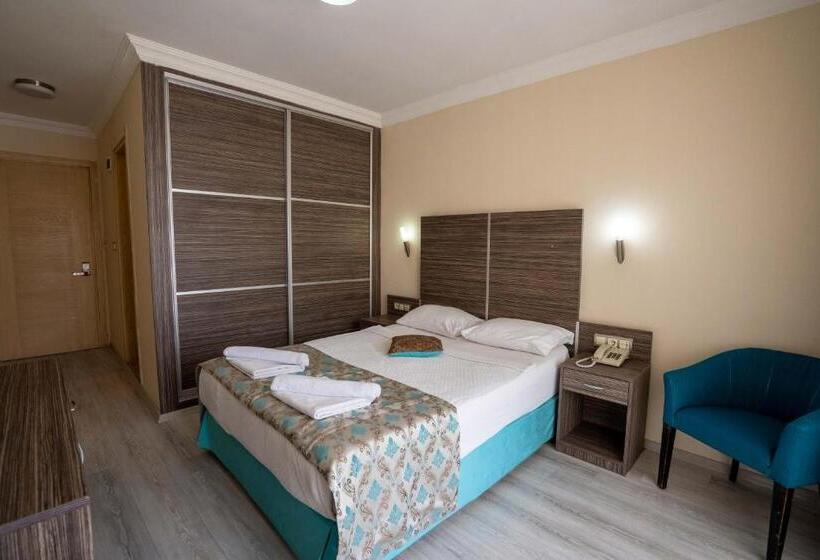 اتاق استاندارد, Ergin