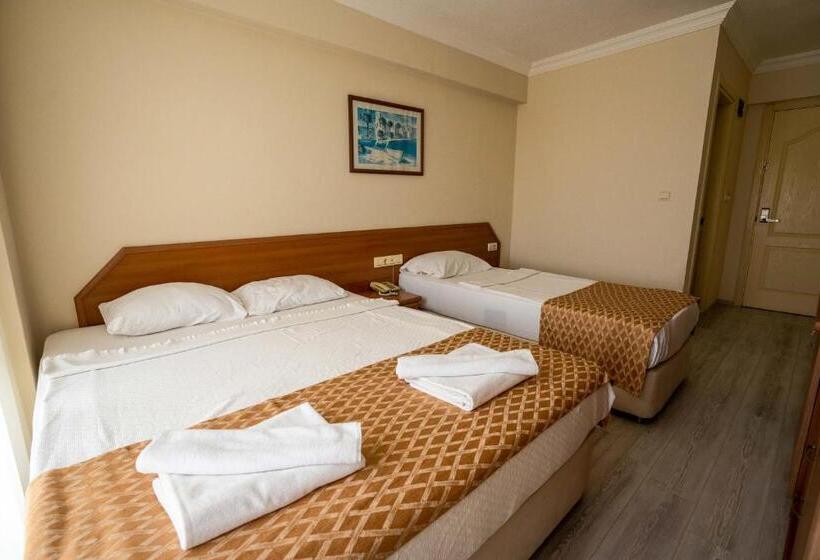 اتاق استاندارد, Ergin