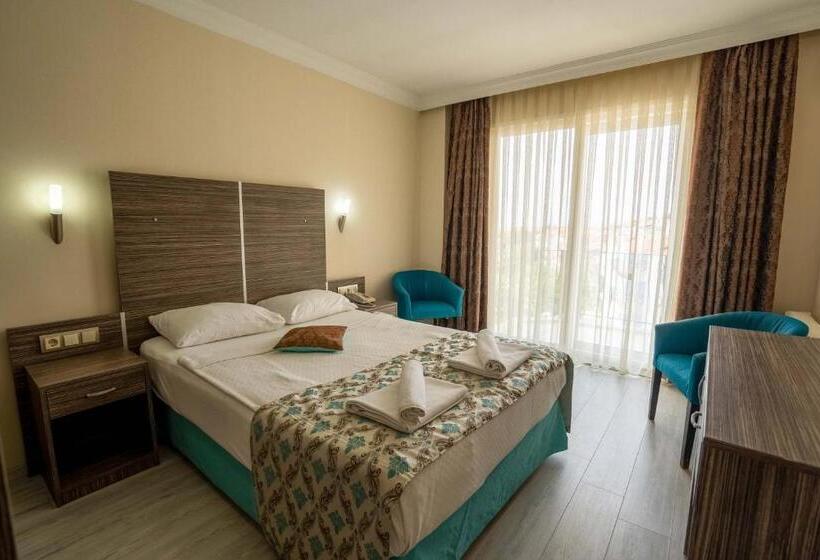 اتاق استاندارد, Ergin