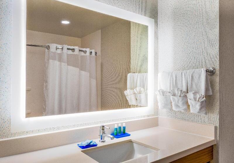 اتاق استاندارد با تخت بزرگ برای معلولان, Hampton Inn Lewistonauburn