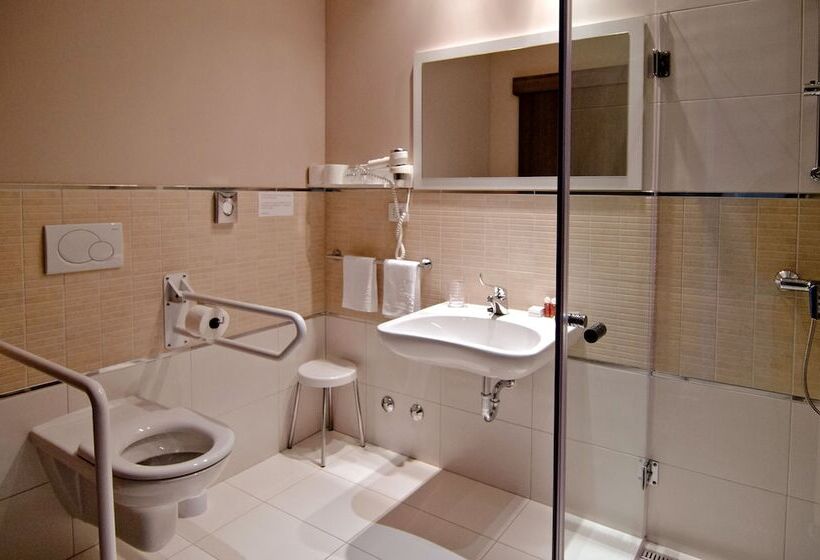 Номер Стандарт Адаптированный для Инвалидов, Medjugorje Hotel & Spa