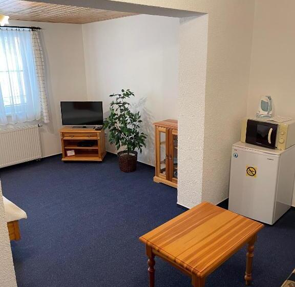 Standard Single Room, Penzion Linhart