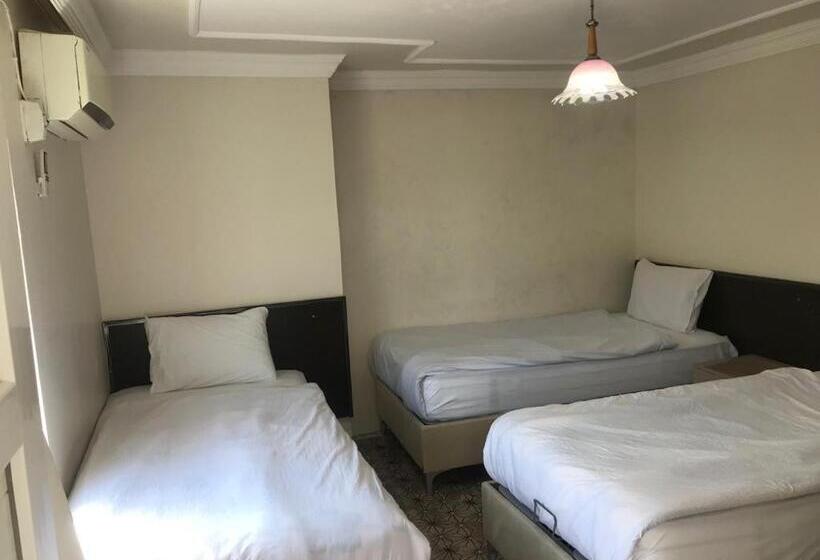 اتاق استاندارد سه تخته با چشم‌انداز باغ, Karadut Pension Nemrut