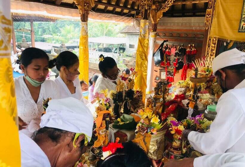 اتاق استاندارد یک نفره, Bali Livin,tayehomestay