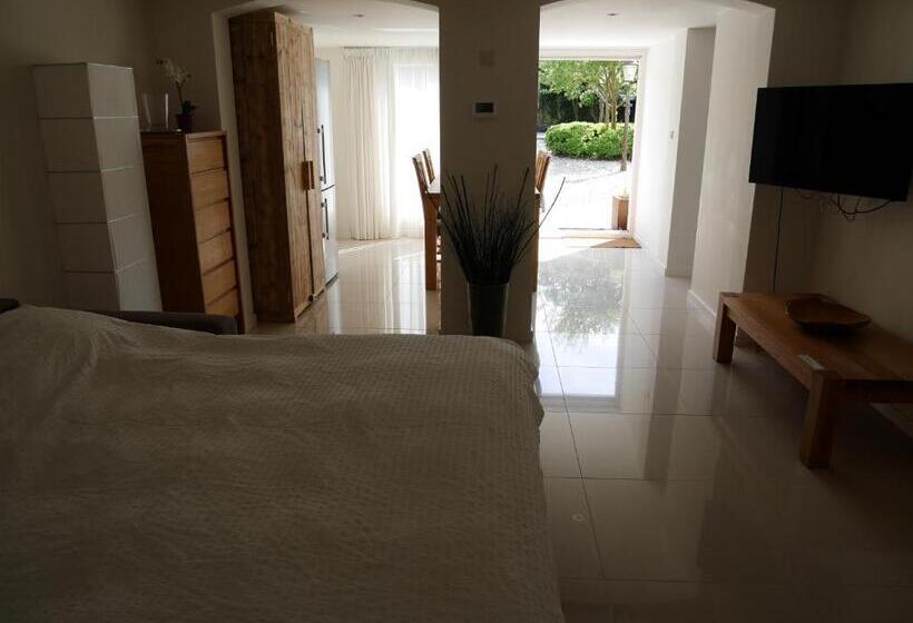 آپارتمان 1 خوابه با تراس, Casa Del Cisne