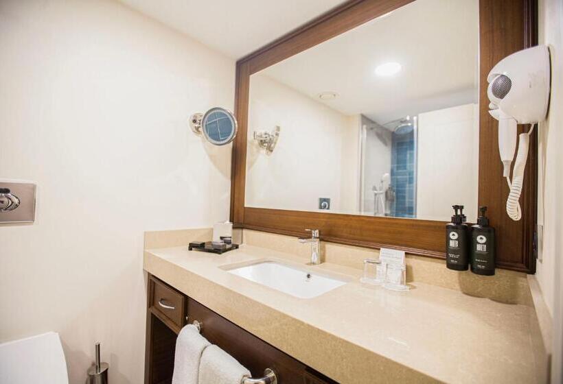 اتاق پرمیوم, Ramada Plaza Sultanahmet