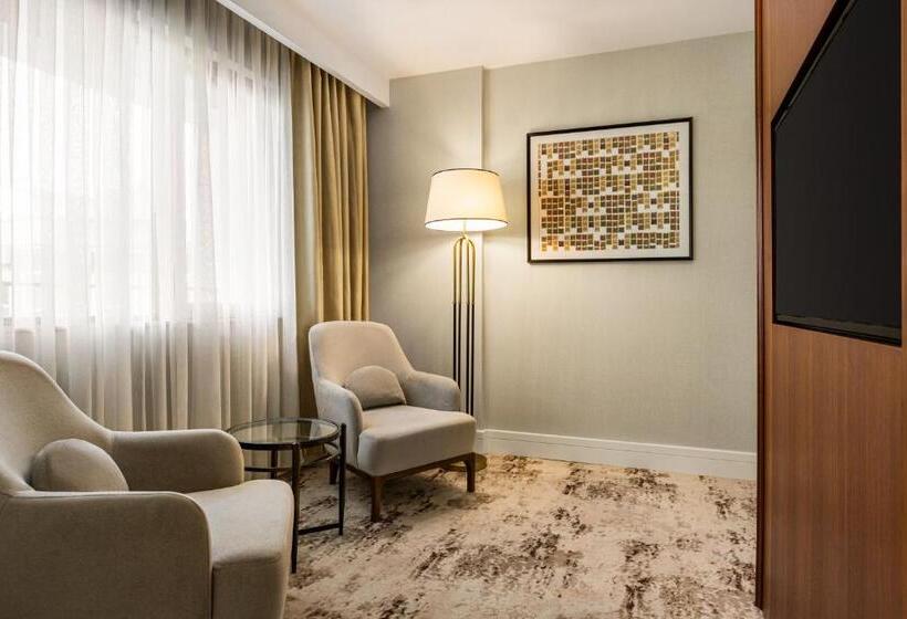 سوییت خانوادگی, Ramada Plaza Sultanahmet