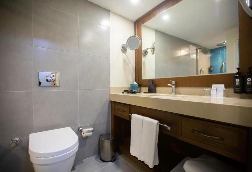 سوئیت با تخت بزرگ, Ramada Plaza Sultanahmet