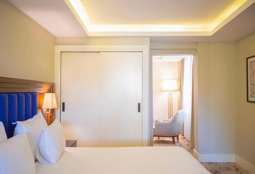 سوئیت با تخت بزرگ, Ramada Plaza Sultanahmet
