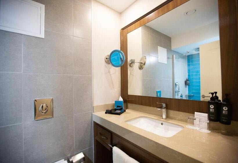 اتاق دلوکس با تخت کینگ و چشم‌انداز شهر, Ramada Plaza Sultanahmet